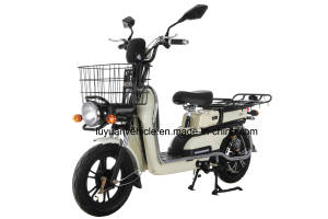 800W Utility Cargo E-Scooter with Portable Lithium Battery with Strong Loading Capacity (LLB)